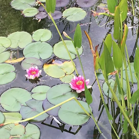 Du Bout Du Monde La Bergerie *