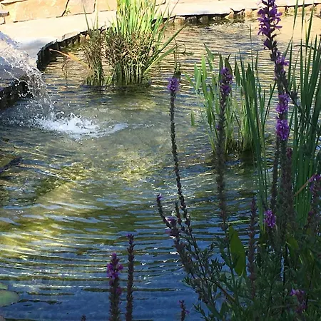 Du Bout Du Monde La Bergerie Barrême