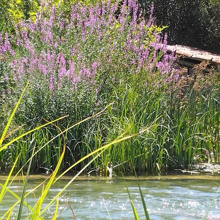 Du Bout Du Monde La Bergerie Holiday home