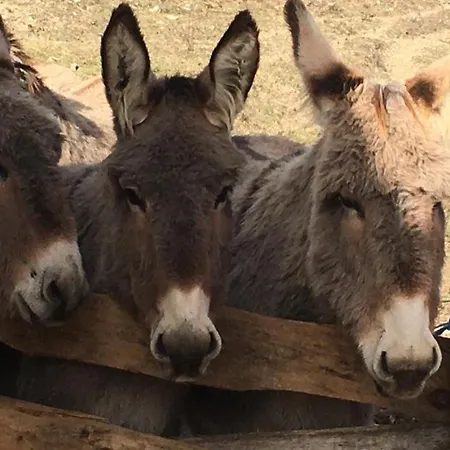 Holiday home Du Bout Du Monde La Bergerie