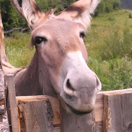 Holiday home Du Bout Du Monde La Bergerie Barreme