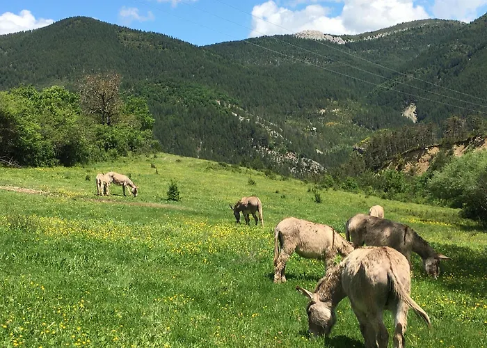 Du Bout Du Monde La Bergerie * Barrême